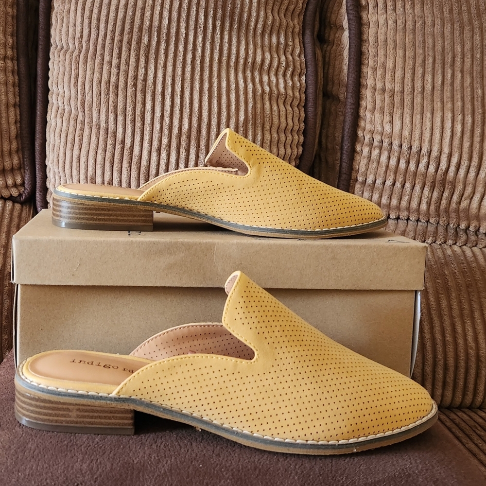 Indigo rd. Mule